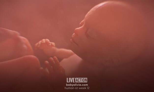 Regulation of abortion at the state level denies preborn humans equal protection