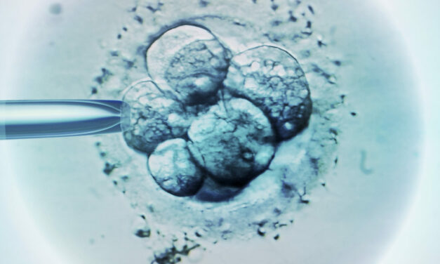 Research shows that IVF destroys embryos at a higher rate than abortion