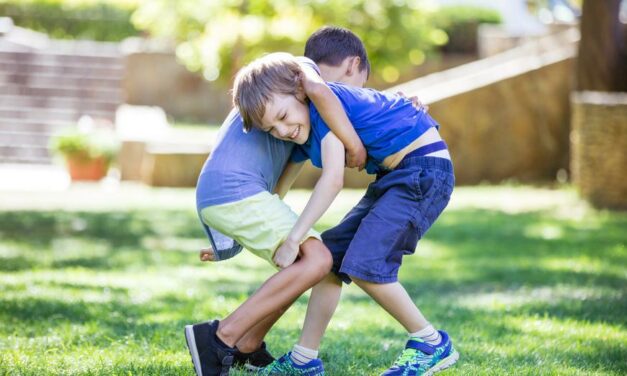 Fighting, Building, Fathering: Understanding How Boys Play