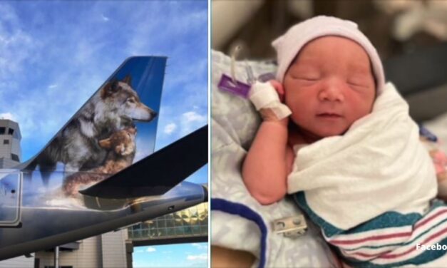 Mom praises the ‘good team’ who helped her give birth on overnight flight