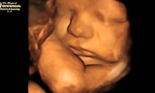 Abortion Increases 90% in New York as Abortion Pills Make Killing Babies Cheap and Easy